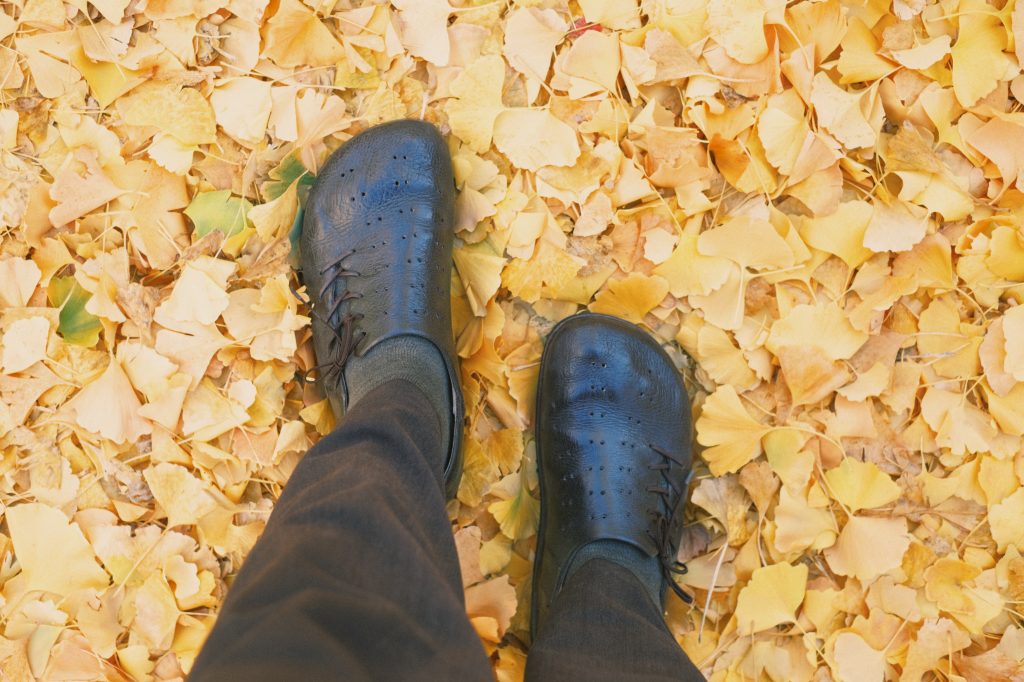 落ち葉と靴の写真