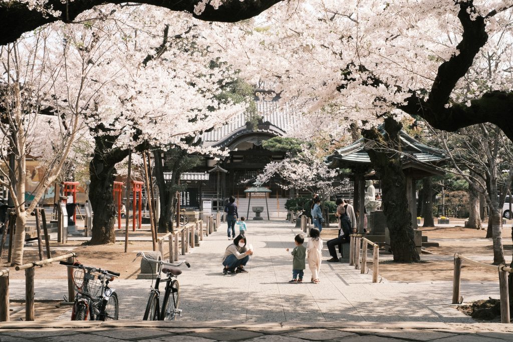 コロナ禍での祐天寺の桜の写真